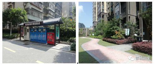 河南小区爆料视频最新,揭秘惊人真相！