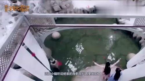 杨紫抖音最新动态爆料,甜蜜互动引粉丝热议